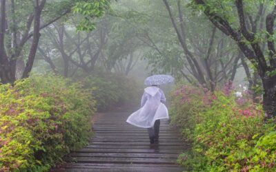 BENEFITS OF WALKING IN THE RAIN FOR HEALTH AND WELLBEING