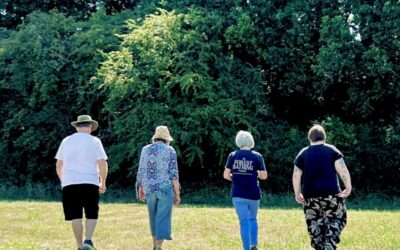 The Missing Ingredients in Netwalking